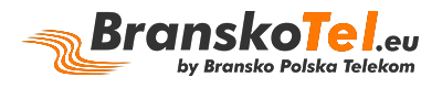 Branskotel Logo